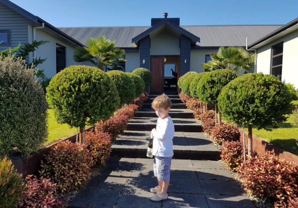 LUMA apiculata std - Invercargill, Feb